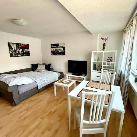 Nice And Comfortable, Centrally Located Apartment Райнфельден Экстерьер фото