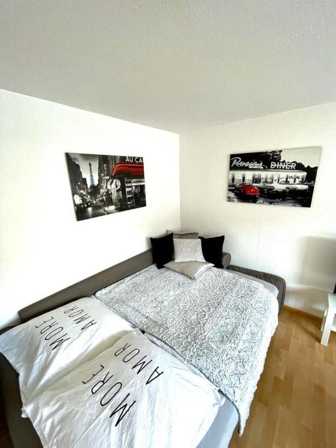Nice And Comfortable, Centrally Located Apartment Райнфельден Экстерьер фото